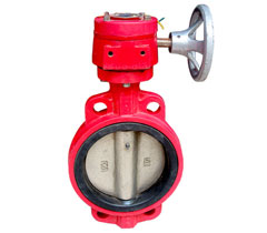 ������̖(h��o)���y