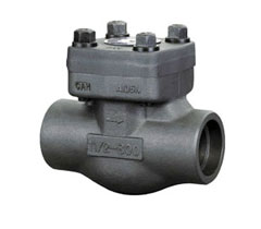 ����ʽ��ֹ���y